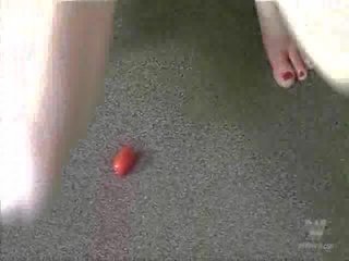 The tomato เกมส์ หนึ่ง วีดีโอ