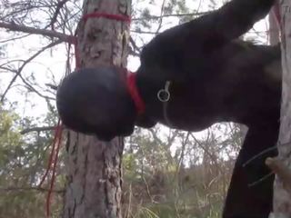 Tied up to a tree outdoor on fascinating clothes&comma; wearing pantyhose and high ankle boots heels&comma; rough fuck