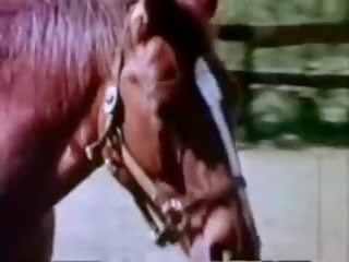 Kinkorama 1976 da lasse braun & gerd wasmund: gratis x nominale film e8